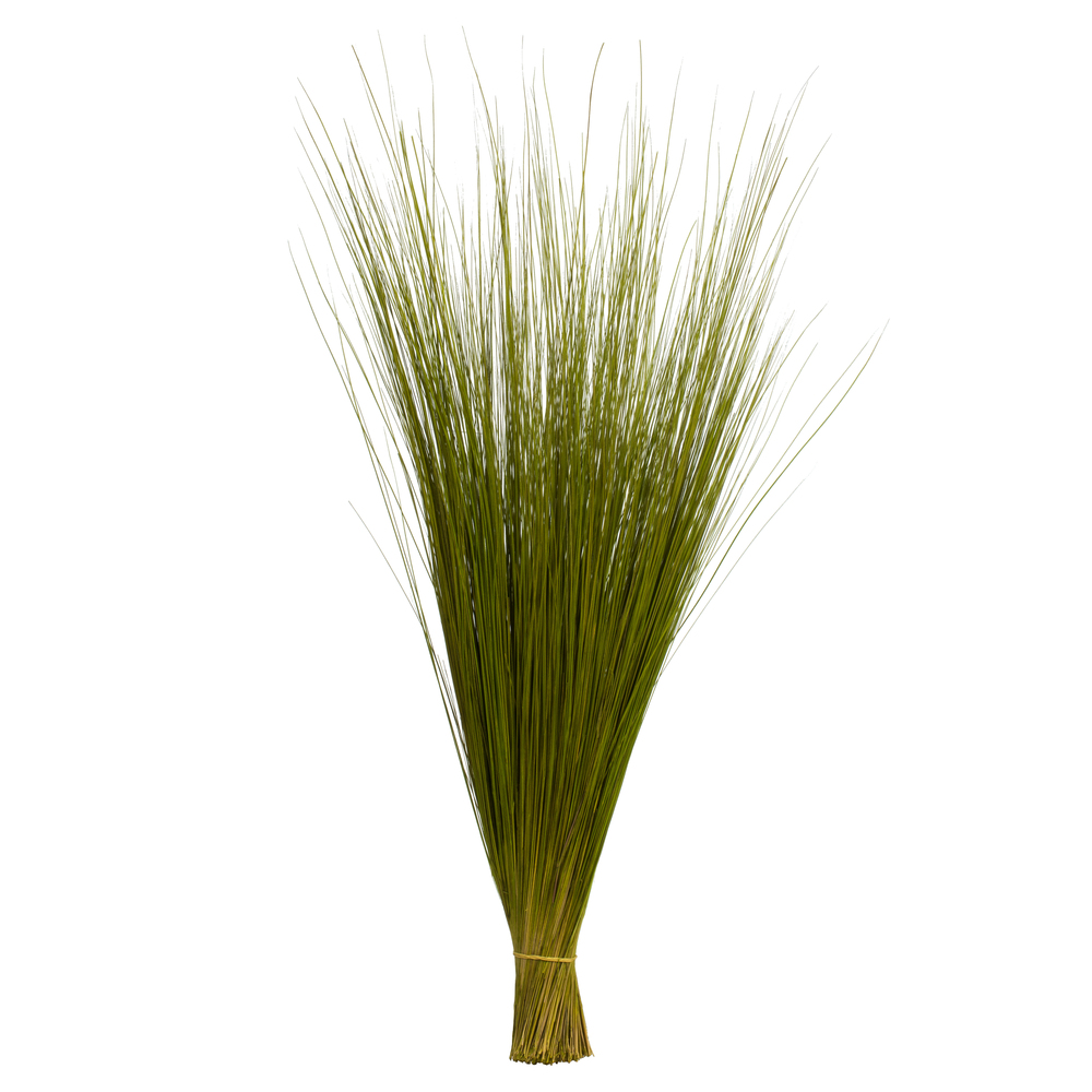 Dried natural grasses including pampas and wheat for floral arrangements and home decor