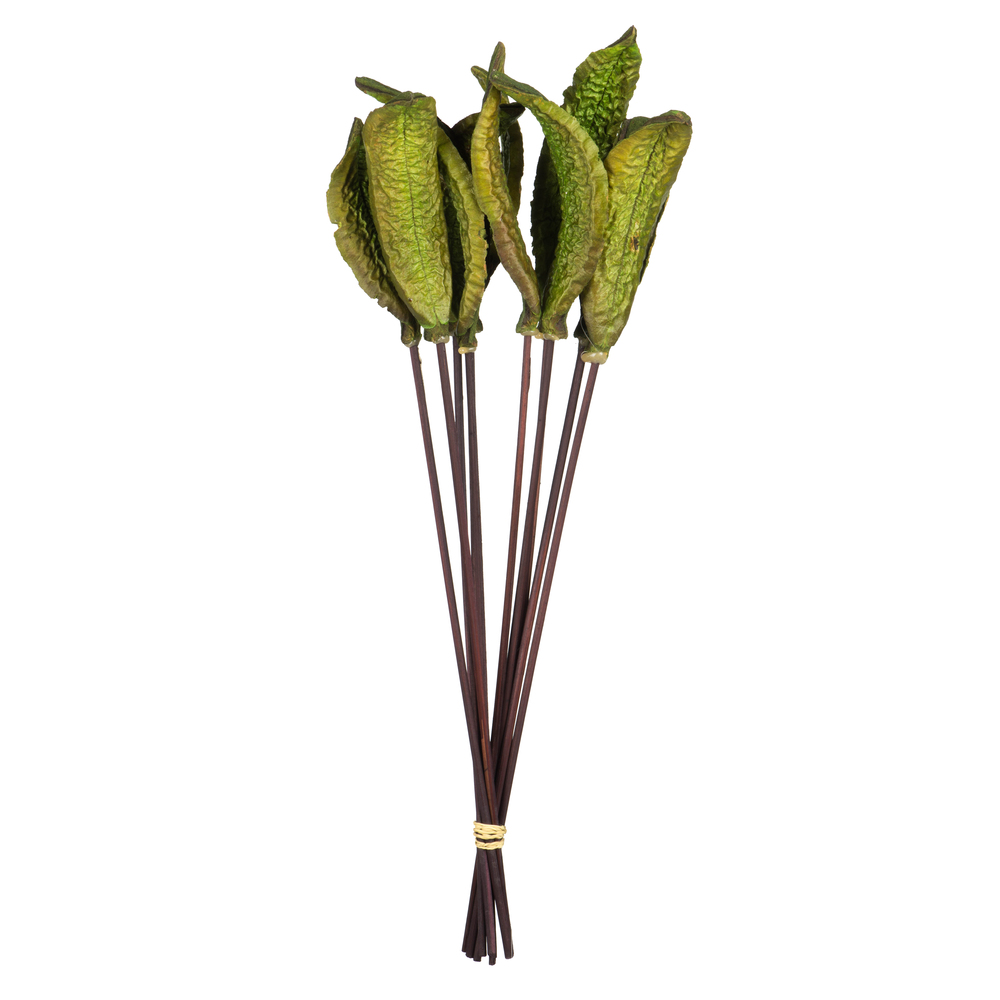 Natural dried pods and reeds including lotus, eucalyptus, and decorative seed pods
