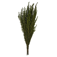 Natural botanical filler materials including baby's breath and dried florals for arrangements