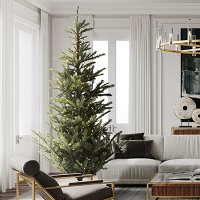 Alberta Spruce Tree in room